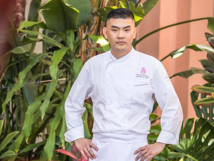 Chef Shingo Katsura
